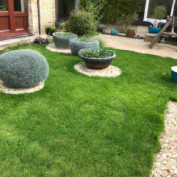 Techniques de taille pour maintenir un jardin esthétique et en bonne santé Saint-Raphael